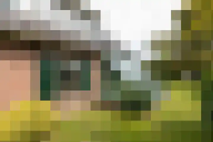 Pals 7 Westervoort thumbnail 58