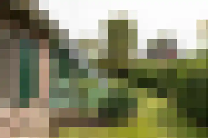 Pals 7 Westervoort thumbnail 59