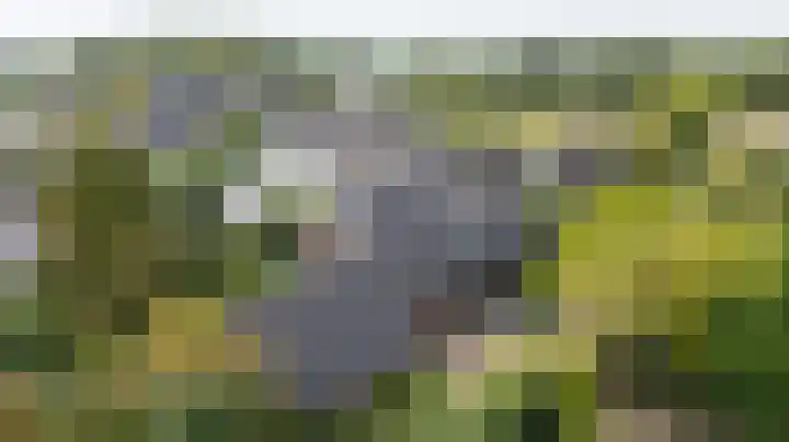 Pals 7 Westervoort thumbnail 6