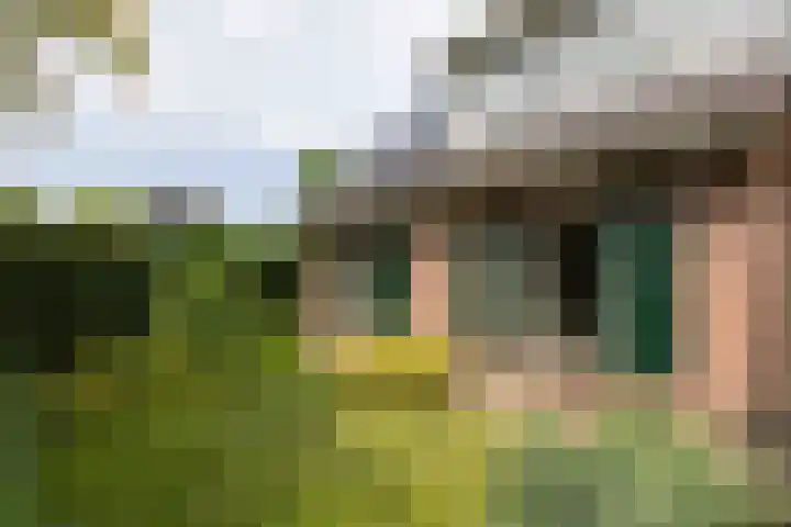 Pals 7 Westervoort thumbnail 60