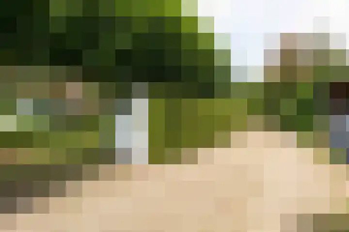 Pals 7 Westervoort thumbnail 65