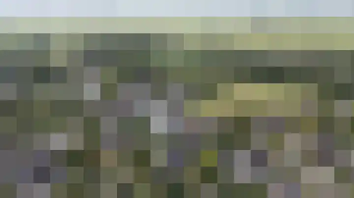 Pals 7 Westervoort thumbnail 67