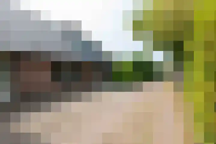 Pals 7 Westervoort thumbnail 7
