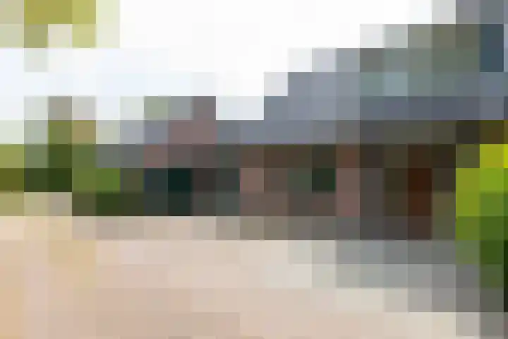 Pals 7 Westervoort thumbnail 72