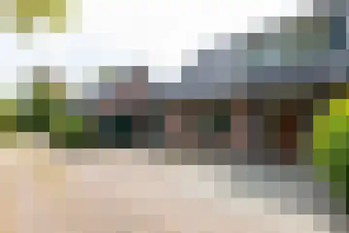 Pals 7 Westervoort thumbnail 9