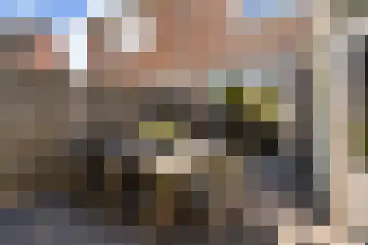 Paltrokmolen 29 Weert thumbnail 30