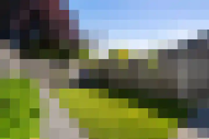 Paltrokmolen 29 Weert thumbnail 33