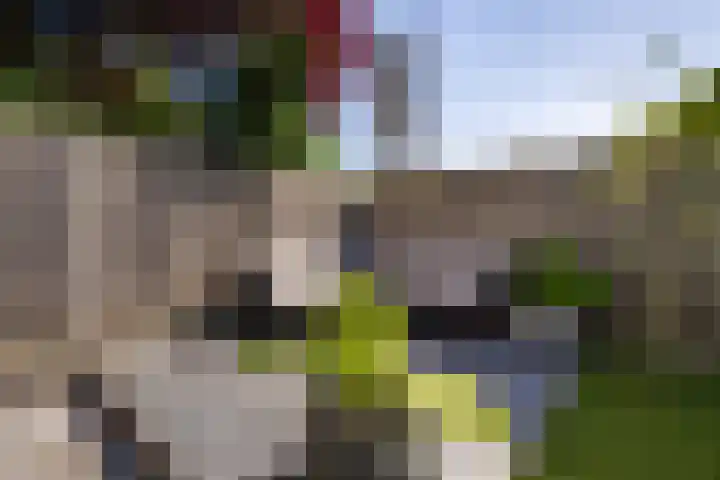 Paltrokmolen 29 Weert thumbnail 35