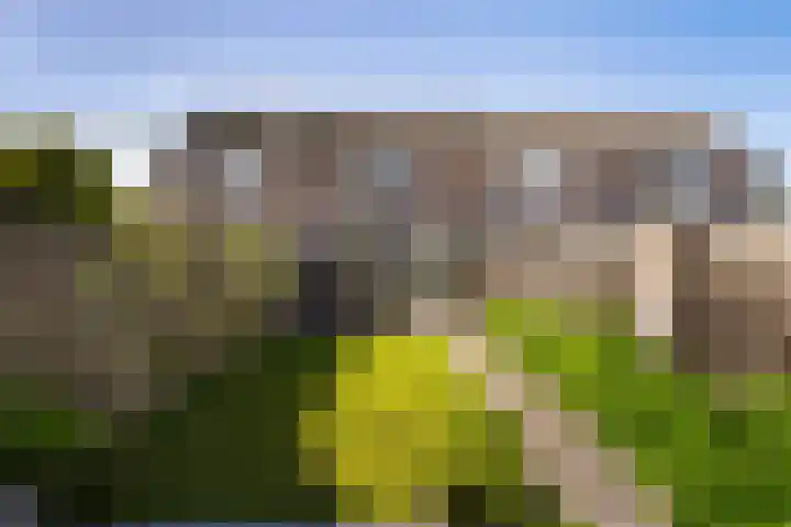 Paltrokmolen 29 Weert thumbnail 36