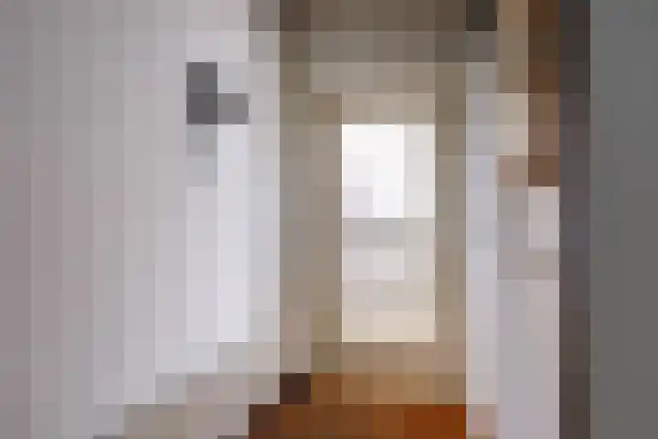 Paltrokmolen 5 Harmelen thumbnail 11