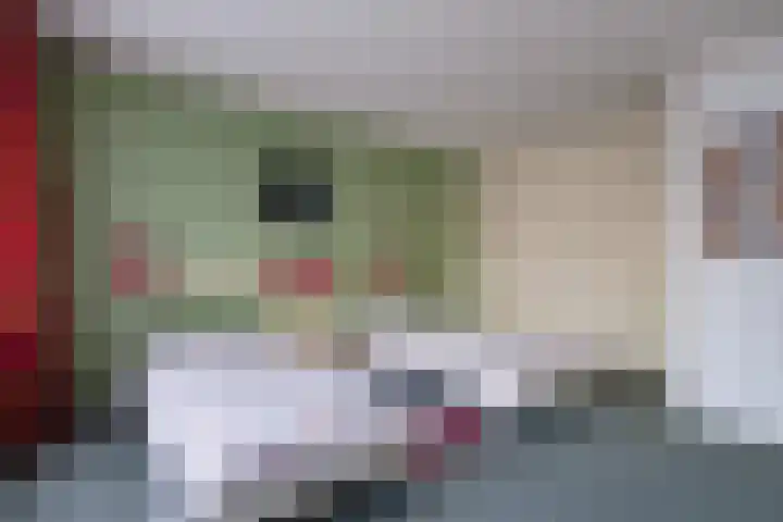 Paltrokmolen 5 Harmelen thumbnail 13