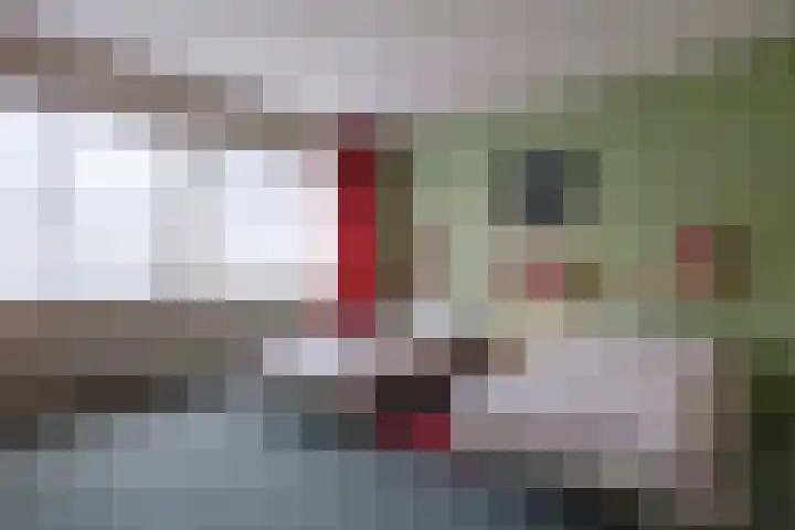 Paltrokmolen 5 Harmelen thumbnail 14