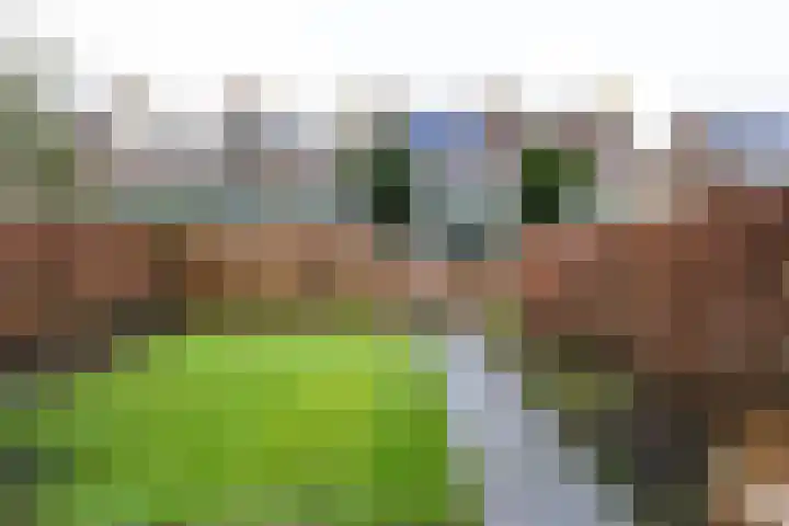 Paltrokmolen 5 Harmelen thumbnail 30