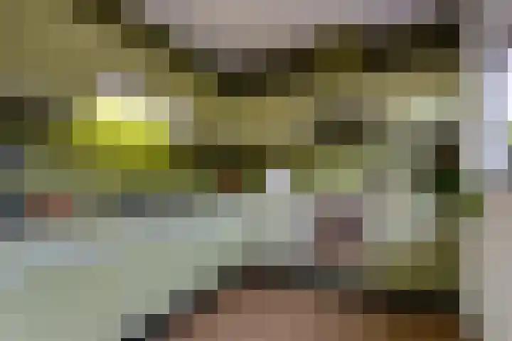Paltrokmolen 5 Harmelen thumbnail 4