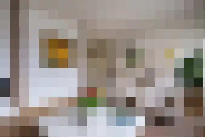 Paltrokmolen 5 Harmelen thumbnail 6