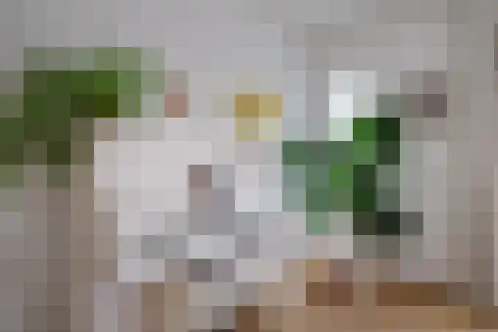 Paltrokmolen 5 Harmelen thumbnail 7