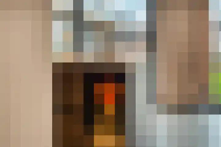Paltrokmolen 51 Numansdorp thumbnail 25