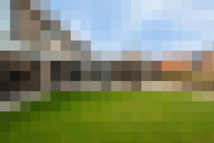 Paltrokmolen 51 Numansdorp thumbnail 85