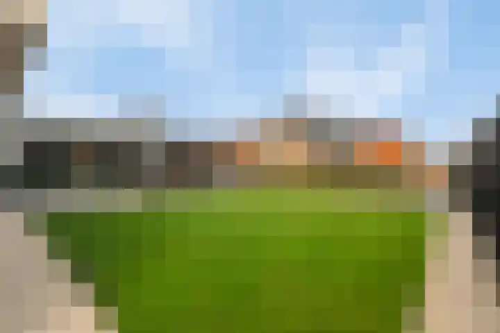 Paltrokmolen 51 Numansdorp thumbnail 86