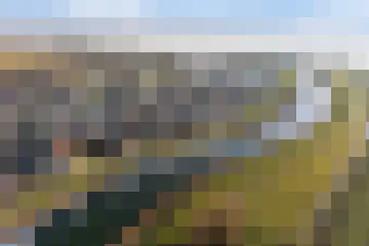Paltrokmolen 51 Numansdorp thumbnail 88