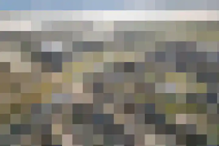 Paltrokmolen 51 Numansdorp thumbnail 89