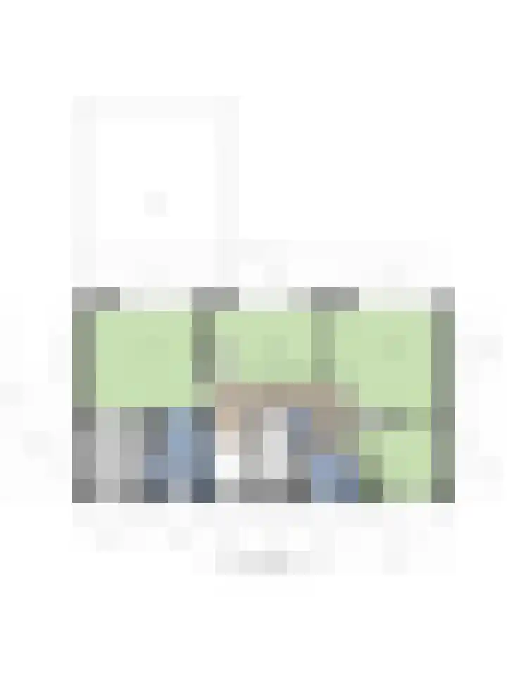 Paltrokmolen 51 Numansdorp thumbnail 96
