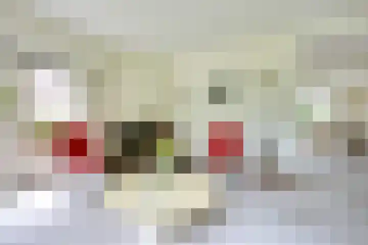Paltzerweg 163 Den Dolder thumbnail 11
