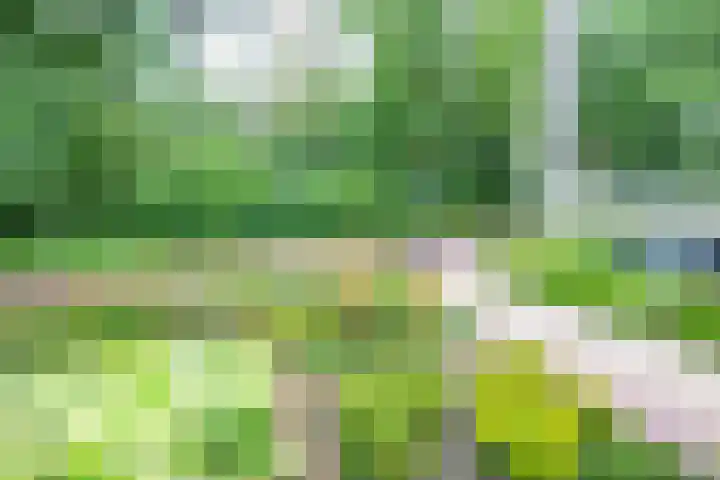 Paltzerweg 163 Den Dolder thumbnail 27