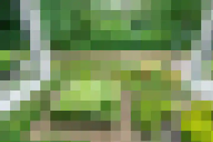 Paltzerweg 163 Den Dolder thumbnail 28