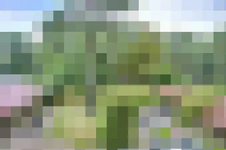 Paltzerweg 163 Den Dolder thumbnail 31