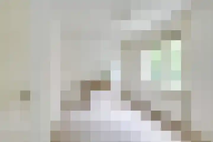 Paltzerweg 163 Den Dolder thumbnail 34