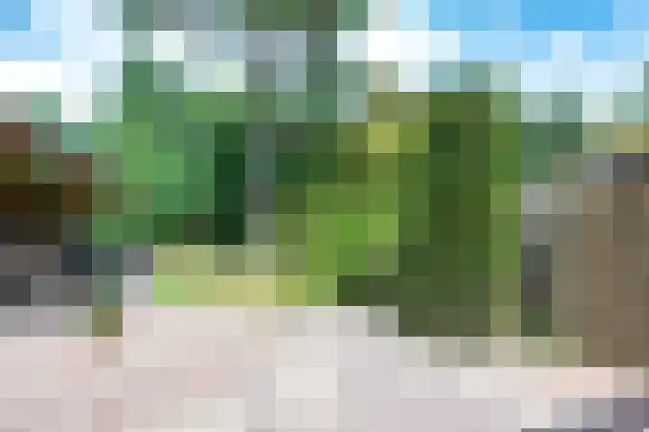 Paltzerweg 163 Den Dolder thumbnail 40