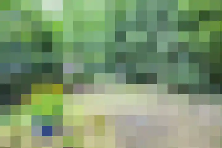 Paltzerweg 163 Den Dolder thumbnail 48