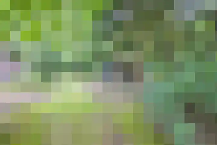 Paltzerweg 163 Den Dolder thumbnail 49