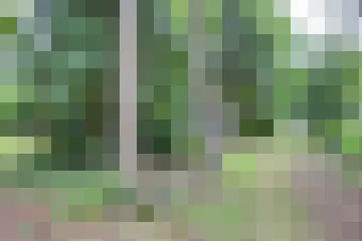 Paltzerweg 163 Den Dolder thumbnail 50