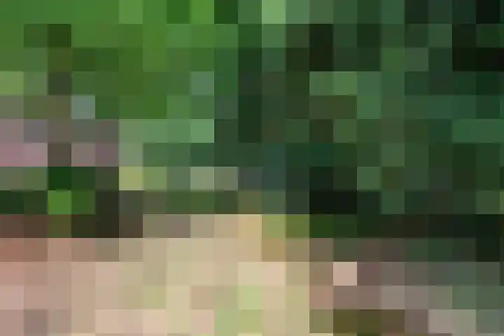 Paltzerweg 163 Den Dolder thumbnail 52