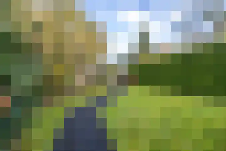 Paltzerweg 183 Den Dolder thumbnail 37