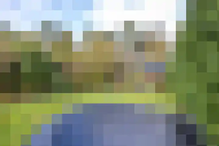 Paltzerweg 183 Den Dolder thumbnail 38
