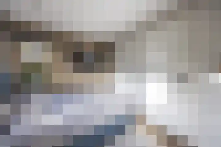 Paltzerweg 183 Den Dolder thumbnail 41