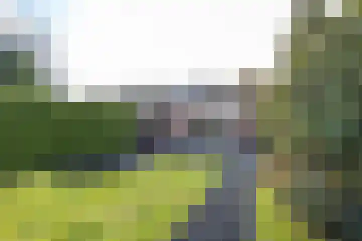Paltzerweg 183 Den Dolder thumbnail 47
