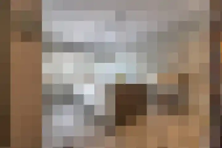 Paltzerweg 183 Den Dolder thumbnail 7