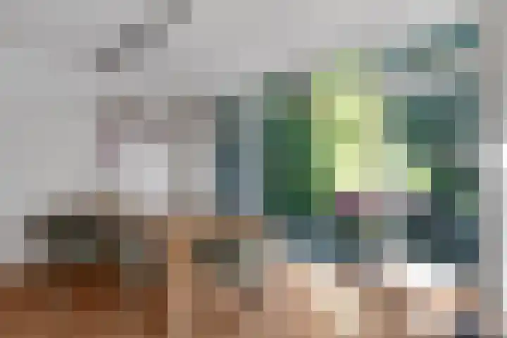 Paltzerweg 237 Den Dolder thumbnail 15