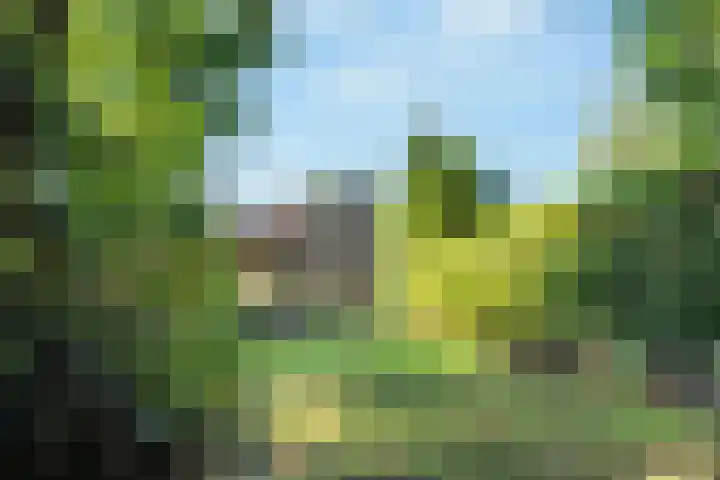 Paltzerweg 237 Den Dolder thumbnail 45