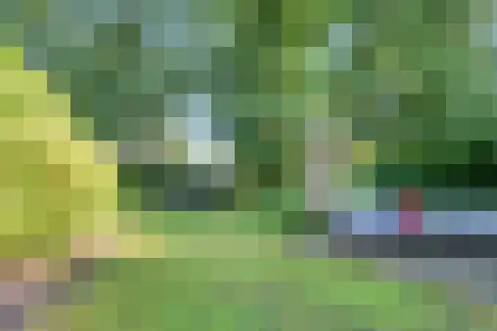 Paltzerweg 237 Den Dolder thumbnail 47