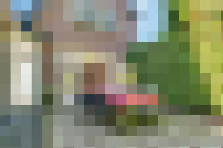 Paltzerweg 237 Den Dolder thumbnail 49