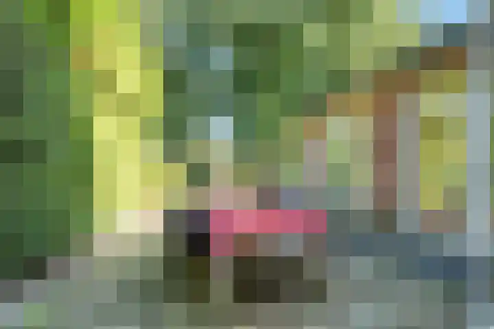 Paltzerweg 237 Den Dolder thumbnail 51