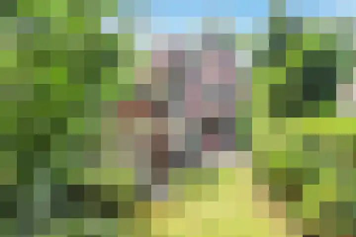 Paltzerweg 237 Den Dolder thumbnail 54