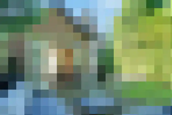 Paltzerweg 237 Den Dolder thumbnail 6