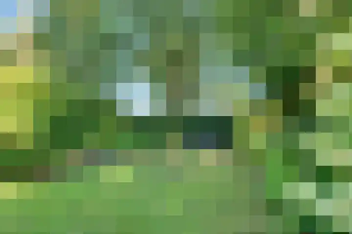 Paltzerweg 237 Den Dolder thumbnail 8