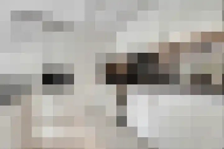 Paltzerweg 254 Den Dolder thumbnail 17